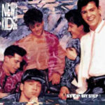 1990 new kids on the block step by step - 3x Plat